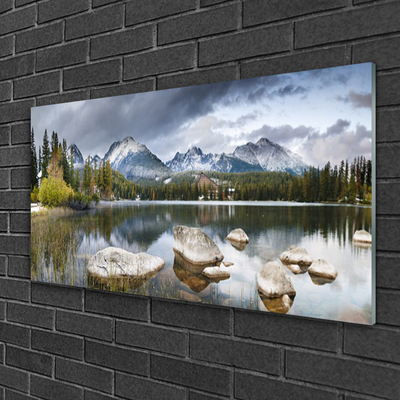 Image sur verre acrylique Montagnes forêt lac paysage gris brun vert