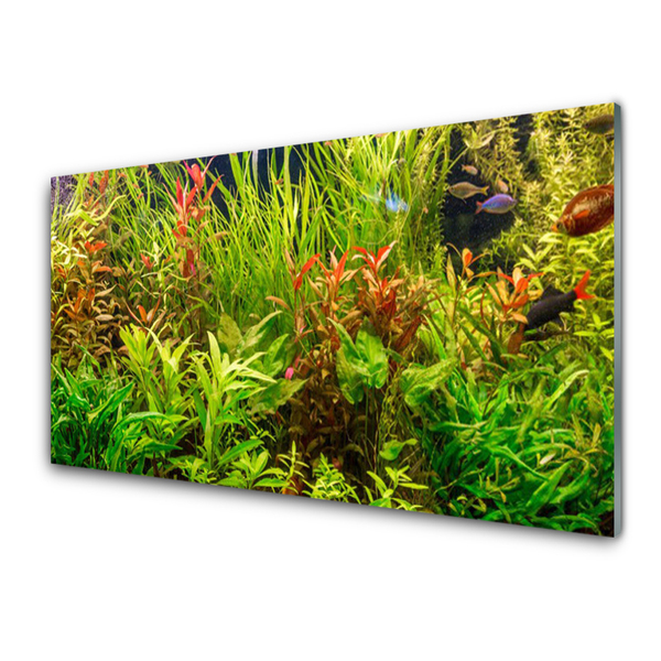 Image sur verre acrylique Plantes floral vert brun