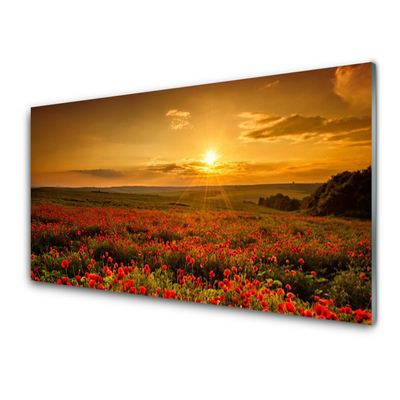 Image sur verre acrylique Fleurs prairie nature jaune vert rouge