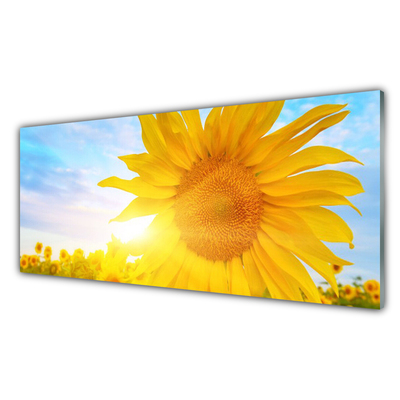 Image sur verre acrylique Tournesol floral jaune