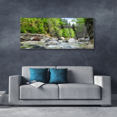 Image sur verre acrylique Forêt pierres pont lac paysage brun vert gris
