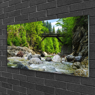 Image sur verre acrylique Forêt pierres pont lac paysage brun vert gris