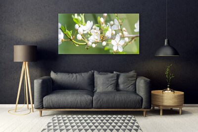 Image sur verre acrylique Branches fleurs floral vert blanc