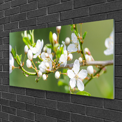 Image sur verre acrylique Branches fleurs floral vert blanc