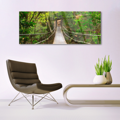 Image sur verre acrylique Forêt pont nature brun vert
