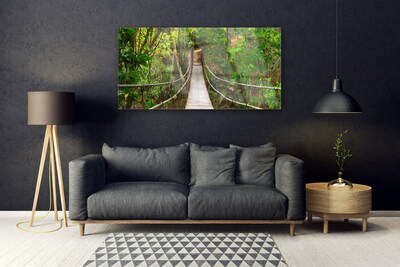 Image sur verre acrylique Forêt pont nature brun vert