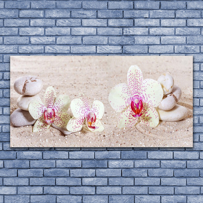 Image sur verre acrylique Fleurs pierres floral blanc