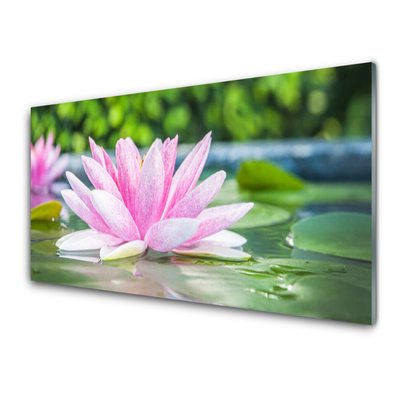 Image sur verre acrylique Eau fleur art rose vert