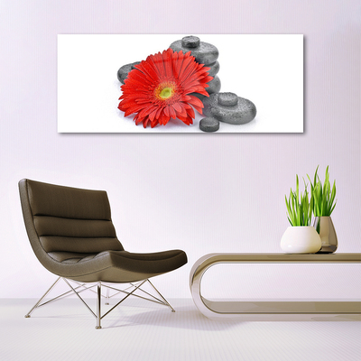 Image sur verre acrylique Pierres fleurs floral rouge gris