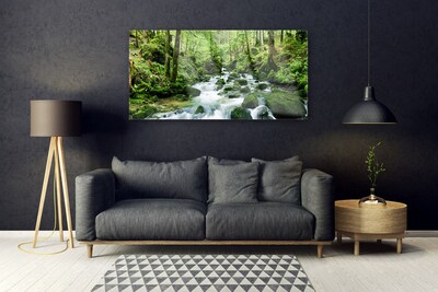 Image sur verre acrylique Forêt lac pierres nature brun vert blanc
