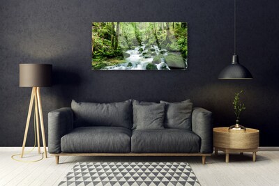 Image sur verre acrylique Forêt lac pierres nature brun vert blanc