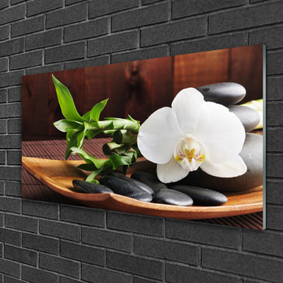 Image sur verre acrylique Pierres bambou fleurs art blanc vert noir