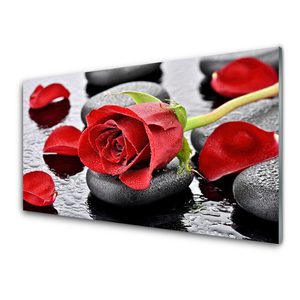 Image sur verre acrylique Rose pierres floral rouge gris