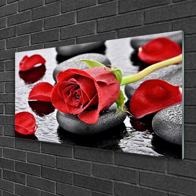 Image sur verre acrylique Rose pierres floral rouge gris