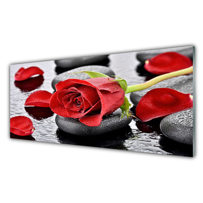 Image sur verre acrylique Rose pierres floral rouge gris