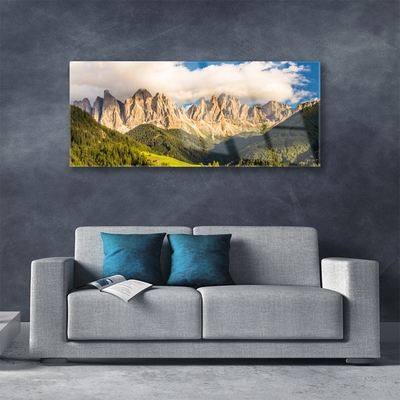 Image sur verre acrylique Montagnes paysage brun vert