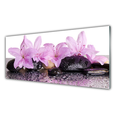 Image sur verre acrylique Pierres fleurs floral rose noir