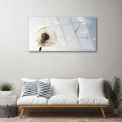 Image sur verre acrylique Pissenlit floral blanc gris