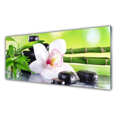 Image sur verre acrylique Pierres fleurs bambou floral vert blanc noir