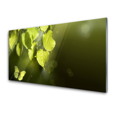 Image sur verre acrylique Feuilles papillon nature vert