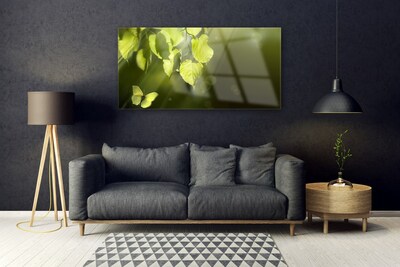 Image sur verre acrylique Feuilles papillon nature vert