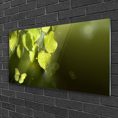 Image sur verre acrylique Feuilles papillon nature vert