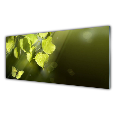 Image sur verre acrylique Feuilles papillon nature vert