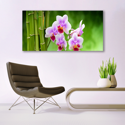 Image sur verre acrylique Bambou fleurs floral vert rose