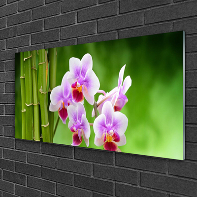 Image sur verre acrylique Bambou fleurs floral vert rose
