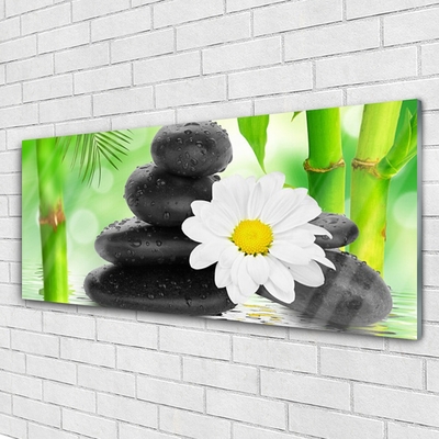 Image sur verre acrylique Bambou pierres fleurs art vert blanc noir