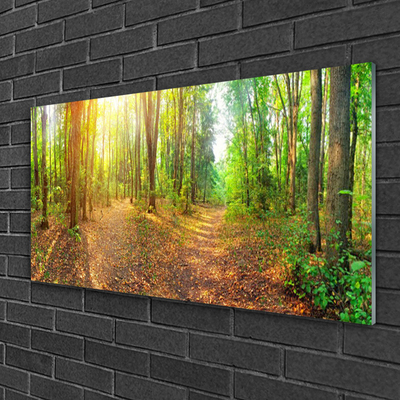 Image sur verre acrylique Forêt nature brun vert