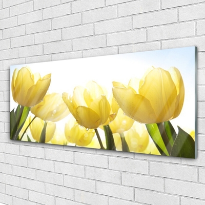 Image sur verre acrylique Tulipes floral jaune