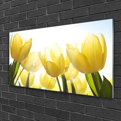 Image sur verre acrylique Tulipes floral jaune