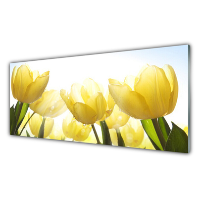 Image sur verre acrylique Tulipes floral jaune