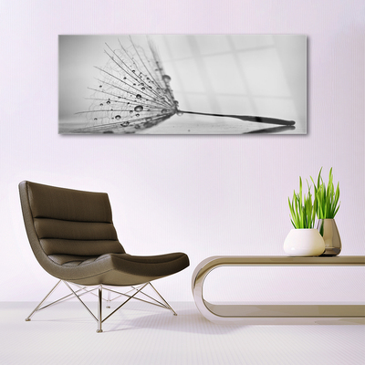 Image sur verre acrylique Pissenlit floral gris
