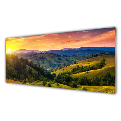Image sur verre acrylique Montagne forêt prairie nature jaune bleu vert