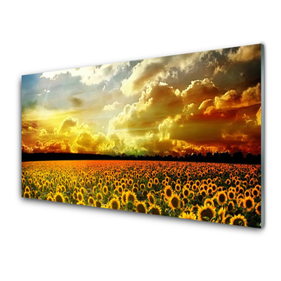 Image sur verre acrylique Tournesol prairie floral jaune brun