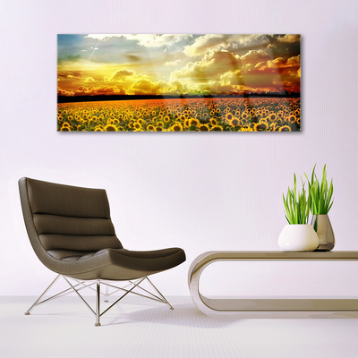 Image sur verre acrylique Tournesol prairie floral jaune brun