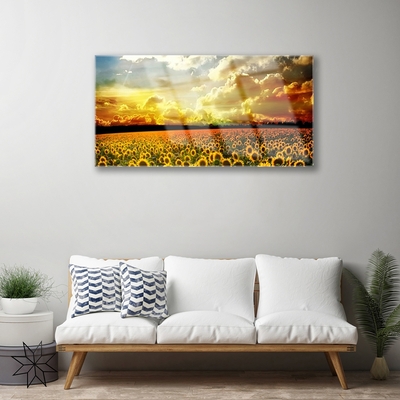 Image sur verre acrylique Tournesol prairie floral jaune brun