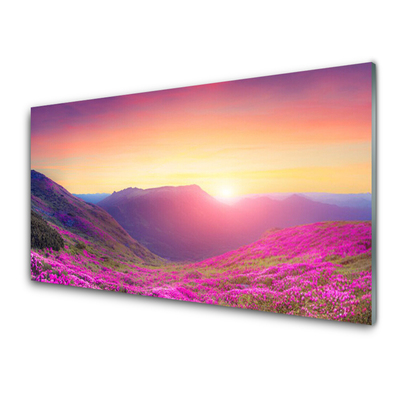 Image sur verre acrylique Montagne prairie nature jaune bleu vert rose