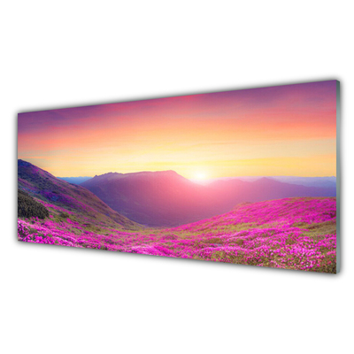 Image sur verre acrylique Montagne prairie nature jaune bleu vert rose