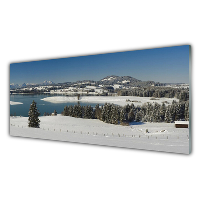 Image sur verre acrylique Neige lac forêt paysage bleu blanc vert