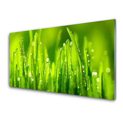 Image sur verre acrylique Herbe nature vert