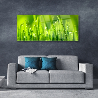 Image sur verre acrylique Herbe nature vert