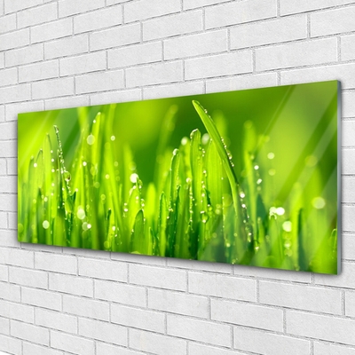 Image sur verre acrylique Herbe nature vert