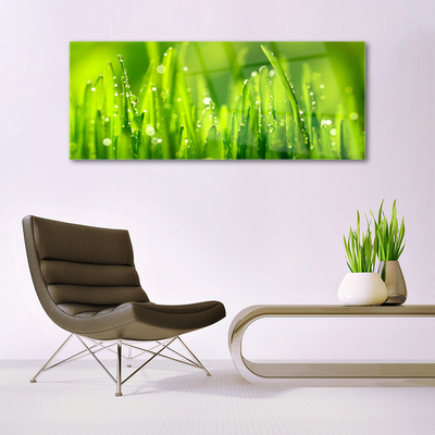 Image sur verre acrylique Herbe nature vert