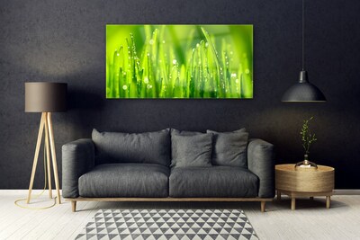 Image sur verre acrylique Herbe nature vert