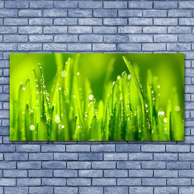 Image sur verre acrylique Herbe nature vert