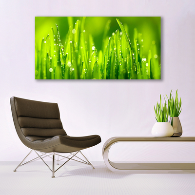 Image sur verre acrylique Herbe nature vert