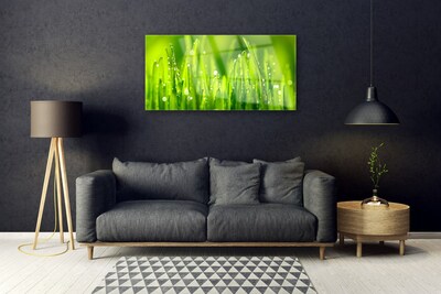 Image sur verre acrylique Herbe nature vert